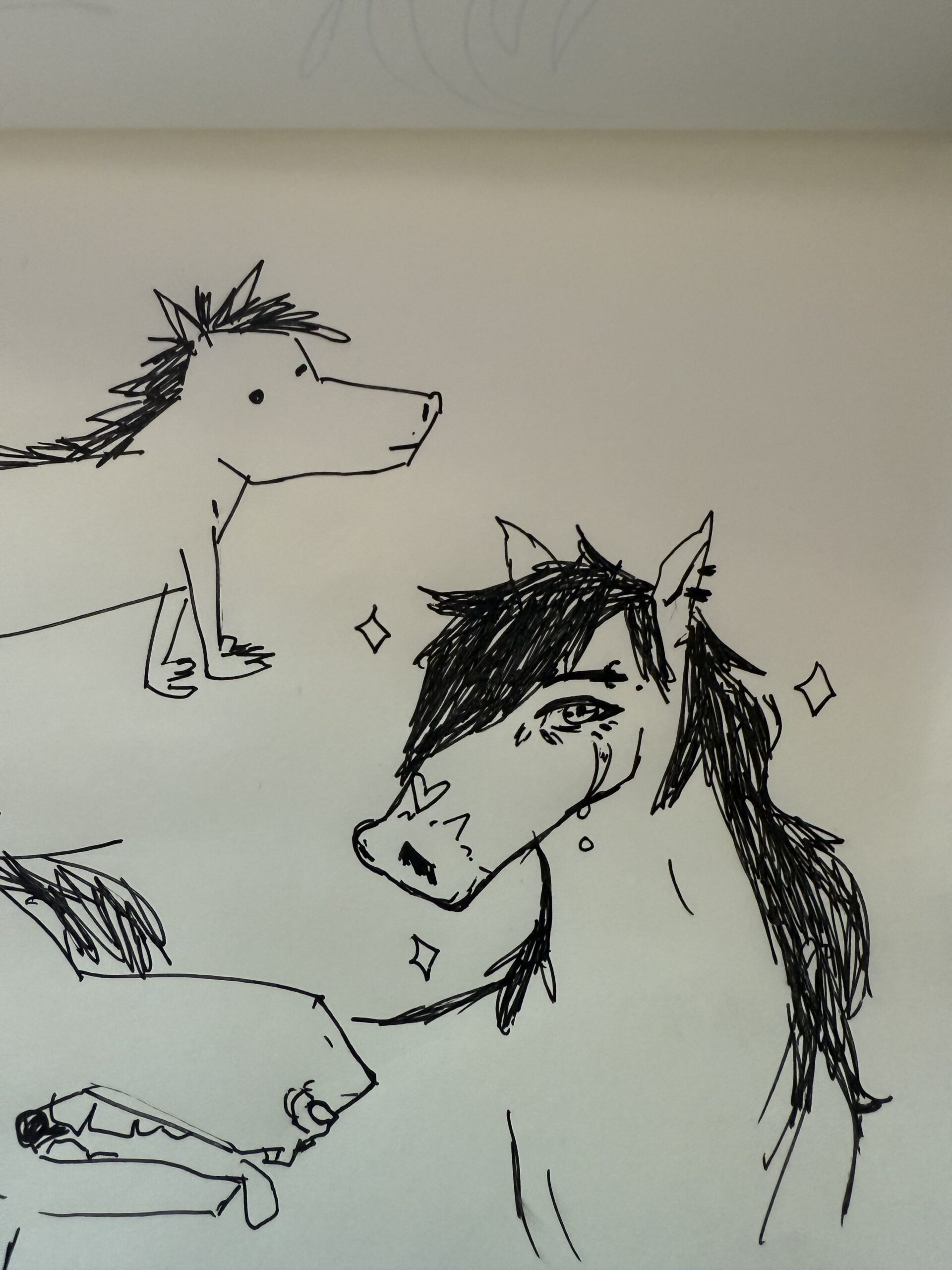 An ink drawing of a classic horse, but this one is very emo and beautiful. He has dark, raven hair swept over his luscious anime eyes. A stream of tears rolls down his face. He has an eyebrow piercing and two ear piercings. He's probably very damaged.